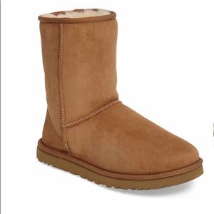 Men’s Classic Short Ugg Boots, Brown, 
Size 14 NEW